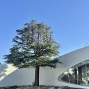 박태준기념관 이미지