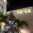 Boutique Hotel K(부티크 호텔 케이) | 태국 치앙마이 가성비 숙소 추천 PE-LA Thapae Boutique Hotel 페라 호텔 타페 근처 올드타운 숙소