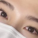 더엘브로우