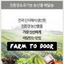 팜투도어