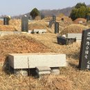 효자원장묘개발