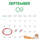 뉴로드짐 이미지