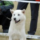 2007년 10월28일 익산전람회-7 이미지