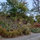 목신농장 이미지