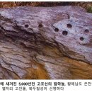 (고인돌 별자리) 00. 고인돌 별자리의 과학사적 의의 이미지