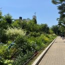 양명초교 이미지