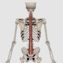 코어스튜디오 이미지