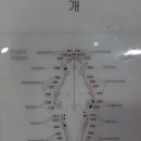 펫홈종합동물병원 이미지