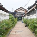 집나간 만두 이미지