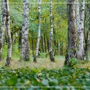 위드유정신건강의학과의원 이미지