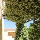 다락방민박 이미지