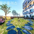 호텔펄리플러스 이미지