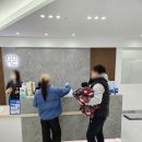 본 동물의료센터 | 암컷 고양이 중성화 수술 비용&amp;후기 '본외과동물의료센터'