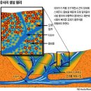 사막유사 이미지