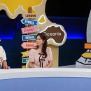 송진우동물병원 | 안정환, 반 고흐 '해바라기' 감상 중 "해바라기씨 맛있어서 엄청 까 먹어~" 옛날사람 인증 발언에...