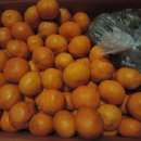 바산농장 이미지