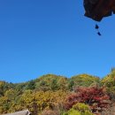 춘화원 일동펜션 이미지