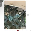 화곡사 | ~24.05.10