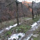 마령산해로(임동면) 이미지