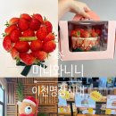 다미오목장 | 이천 베이커리 카페 명장시대 생일 딸기케이크 가격 맛 솔직 후기