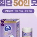 홀릭코리아 이미지