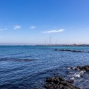 제주축산농협한우프라자아라점 이미지