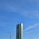 구갈로 60번길2 | 용인 아르피아 타워 수지LAB 반려견 트레이닝 교육 전망대 후기