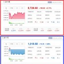 유진디앤씨