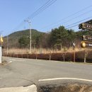신라왕국식당 이미지