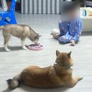 이디야천안두정점 | [#3 일상🩵] 입 짧은 (가짜)먹방러의 많이 늦은 3월 일상..