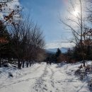 청린농장 이미지