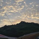 비양도 민박 이미지