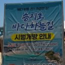 블루렌터카고성지점 네이버블로그