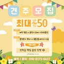 스마일퍼피 강아지분양 동탄점 | [공지] 💖퍼피메이트 여름 이벤트 안내💖퍼피메이트 안심분양센터 동탄강아지분양