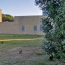 BILLY GYM(빌리짐) | 퍼스 로드트립 지역이동 하기,, 3탄 / 멜버른 퍼핑빌리 기차 내돈내산 / 그레이트오션로드 / 도요타...