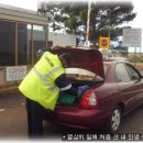 남호농장 이미지