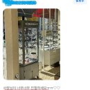 베니스안경 이미지