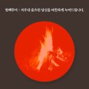 (주)레인보우투어 이미지