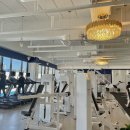 Vamos Gym 이미지