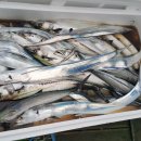 모정의 바다 이미지