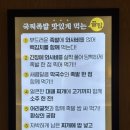 종각 족발 맛집 잭아저씨족발보쌈 튀김족발 마늘족발 찐추천후기