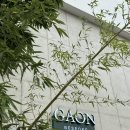 섭이수정소 | 예복 / 광주 예복 추천 가온 비스포크, 가온 비스포크 (GAON) / + 예복 맞춘 후기 &amp; 포토 정장 대여 후기