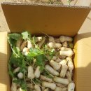 수원-0986 이미지