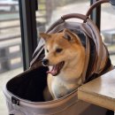 공작2길 이미지