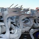 디앤트 이미지
