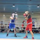 화랑 (권투) 이미지