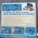 중부로 | 가오슝에서 소류구 당일치기 거북이 스노클링 후기 대중부잠 예약