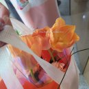 남원종로약국 | 약사춘기 약국탐방 두번째이야기 힙스체인 남원종로약국 남원으로 여행다녀온 정감약사 이야기