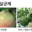 성보주식회사