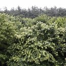 김진규농장 이미지